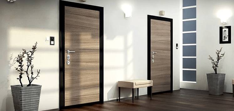 dveri-v-kvartire-06f3-sectionthumb